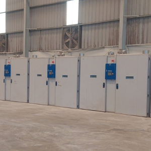 Incubateurs d'oeufs de poule de haute qualité Hatcher d'oeufs Hatcherfully automatique du fabricant du Vietnam - Product Image 6