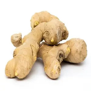 New Arrival Fresh Ginger and Air-Dried Ginger New Crop Wholesalers with Ginger Root Common Cultivation Type