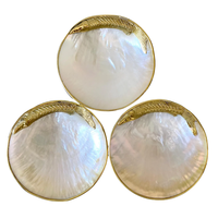 Vente directe d'usine du Vietnam, plaque en nacre naturelle polie, diamètre de 11 cm à 14 cm, présentation de caviar, vente en gros