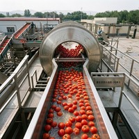 Pâte de tomate en fût Brix 36-38% 220L, acidulée et sucrée, nouvelle récolte, pressée à froid, certifiée Halal, pH 4.2, directement de l'usine