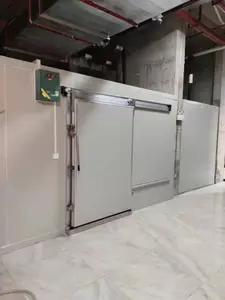 Blast Freezer Room Solution For Fresh Meat Quick-Freezing With Bitzer Compressor Container Cold Room Freezer Room Price