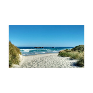 Disponible para la venta a precios imbatibles Obtenga Beech Long para su próximo proyecto de carpintería o construcción disponible a un gran - Product Image 2