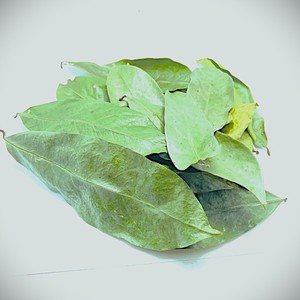 Guanábana deshidratada de Sri Lanka, hojas cortadas en T, hierba seca para productos médicos para bodas - Product Image 2