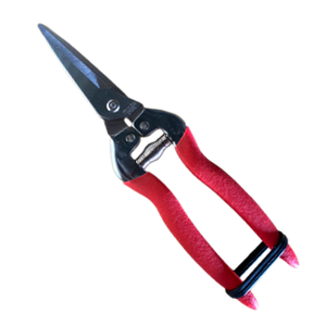 Tijeras para Bonsái de Acero Inoxidable con Hoja Larga Dentada de 7-5/8 Pulgadas, Mango Antideslizante Cromado en Rojo y Plata, 152g - Product Image 2