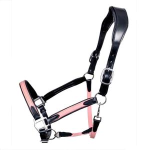 Licou cheval en cuir noir, licou classique, avec point de fantaisie et design perlé - Product Image 2