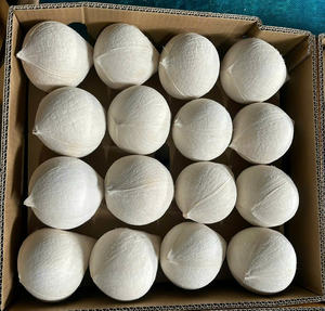 Nouvelle récolte 2026 Noix de coco entière polie Coco Fresco Pulido TINIMEX Origine Ben Tre Durée de conservation de 40 jours pour les importateurs - Product Image 1