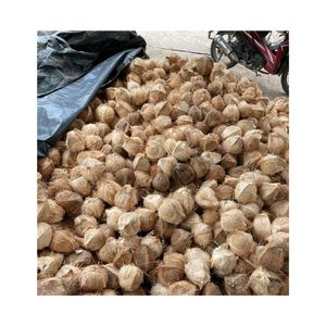 Cáscara de Coco Madura Lista para Enviar para la Producción de Biocombustible Sostenible y Material Saludable para un Auténtico Postre - Product Image 2