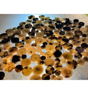 Boutons vierges en corne de bœuf colorés pour les marques de vêtements, les usines de couture et les accessoires de mode – Fourniture brute - Product Image 1