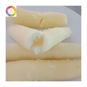 <b>Frozen</b> GMO Tapioca Peeled Cassava Chunks Ready-to-Cook White Yuca Root <b>Vegetables</b> From Vietnam in Bulk Supply 0084935825297WA - Product Image 1