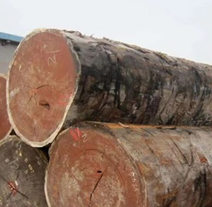 Troncos de madera de Sapele a granel a la venta para proyectos de construcción y artesanía hoy a precios bajos - Product Image 2