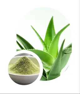 Top Quality Organic Dried Aloe Vera Leaf Extract Powder at Wholesale Price Buy Isar International