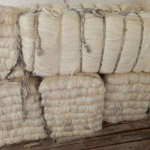 Fibra de lino de calidad/fibra de sisal calidad de yeso - Product Image 3