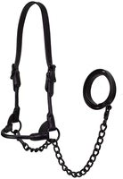 Joxar Noir Minuit Premium Plat Fancy Stitch Nylon Bovins Spectacle Halter avec Chaîne Assortie Modèle de Plomb JI-1372 PK