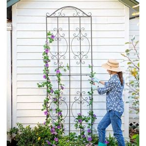 Durable metal <b>garden</b> trellis providing strong <b>decorative</b> vertical support <b>for</b> climbing plants in outdoor <b>gardens</b> - Product Image 1
