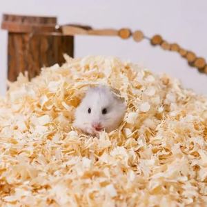 Virutas de madera como ropa de cama de aves de corral y animales, virutas de pino puro Precio competitivo de Vietnam - Product Image 3