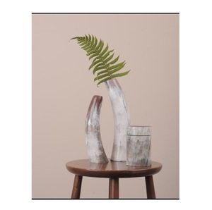 Florero de cuerno de vaca envejecido de súper alta calidad, soporte de madera montado en la pared insular exclusivo Art Deco, decorativo hecho a mano Natural - Product Image 2