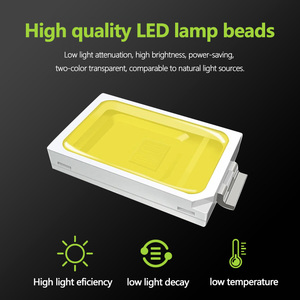 <span class=keywords><strong>2025</strong></span> mới bằng sáng chế 200W 300W Trần LED trong nhà phòng khách năng lượng mặt trời chiếu sáng sân ban công Led Ngoài Trời - Product Image 4