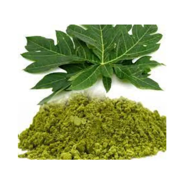 Premium Papaya Leaf Herb Powder Holistic Health and Immune Support Papaya Leaves Powder Tropical Herbal Remedy