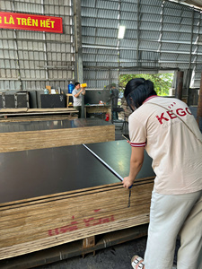 ไม้อัดหล่อ E1เกรด1250X2500x20มม. กันน้ำได้สำหรับใช้กลางแจ้งยุโรปส่งออกเวียดนาม - Product Image 5