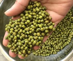 การส่งออกถั่วมุงเขียว - ถั่วมุงทั้งตัวจากเวียดนามในราคาที่แข่งขันได้ - Product Image 2