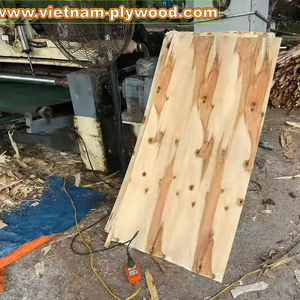 Proveedor de Chapa de Madera de Acacia y Eucalipto de Vietnam, Mejor Precio, Exportador Filipino HCPLY, Aplicación en Almacenes, 1 Año de Garantía, 18% - Product Image 4