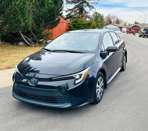 Toyota Corolla Apex d'occasion - Product Image 1