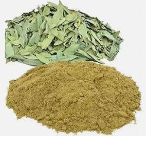 Polvo de extracto de hierbas cultivadas silvestres Cassia Obovata - Product Image 5