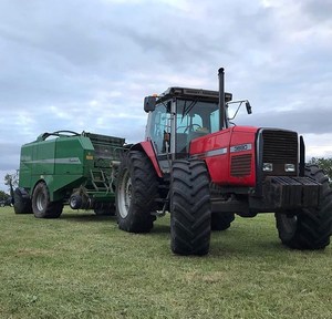 60 tractores agrícolas Mas-sey Fergu-son bastante usados en venta a bajo precio - Product Image 4