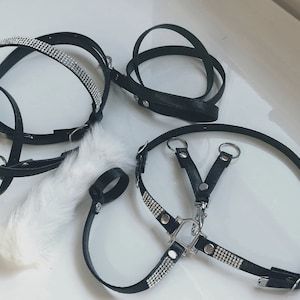 Bridon et rênes en cuir équestre de haute qualité, durables, pour l'extérieur, personnalisation acceptée - Product Image 4