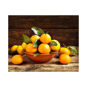 Venta al por mayor Fresh Valencia Orange Fruit Mandarin Citrus Fruit Navel Orange - Product Image 6