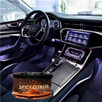 Fabrik preis Autoer frischer Dose Natürliche Qualität Bio-Holz Massiv Auto Parfüm Langlebig Auslaufs icher Home Decor Private Label