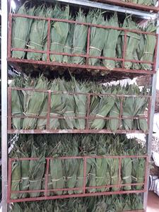 Hojas de bambú de PACKINF, hojas de bambú secas verdes, hojas de bambú salvajes - Product Image 3