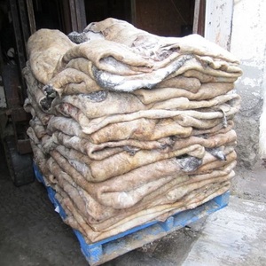 Cuero de vaca puro crudo salado y seco de alta calidad/pieles a la venta al precio al por mayor más barato. - Product Image 3