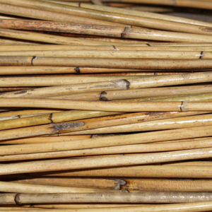 Bastón de mimbre pulido, calidad prémium, para el precio competitivo de Japón - Product Image 1