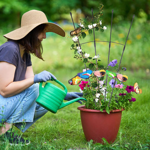 Lot de 2 grilles de soutien en forme d'éventail pour plantes en pot de jardin - Product Image 6