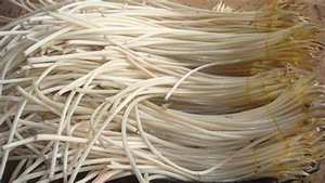 ลำต้นบัวบรรจุกระป๋องธรรมชาติใช้เป็นส่วนประกอบจากพืชที่อุดมไปด้วยเส้นใยเพื่อเพิ่มภูมิคุ้มกัน - Product Image 4