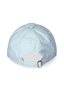 Gorras de béisbol clásicas de 5 paneles 100% algodón bordado 3D verano deporte camionero sombreros con leopardo Oxford Metal de moda - Product Image 3