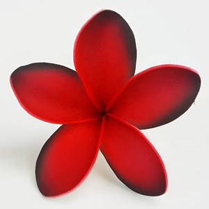 ผลิตภัณฑ์พรีเมี่ยมของดอกลีลาวดีลีลาวดีโฟมที่มีรูปแบบการพิมพ์รอยสักที่ไม่ซ้ำกัน - Product Image 4