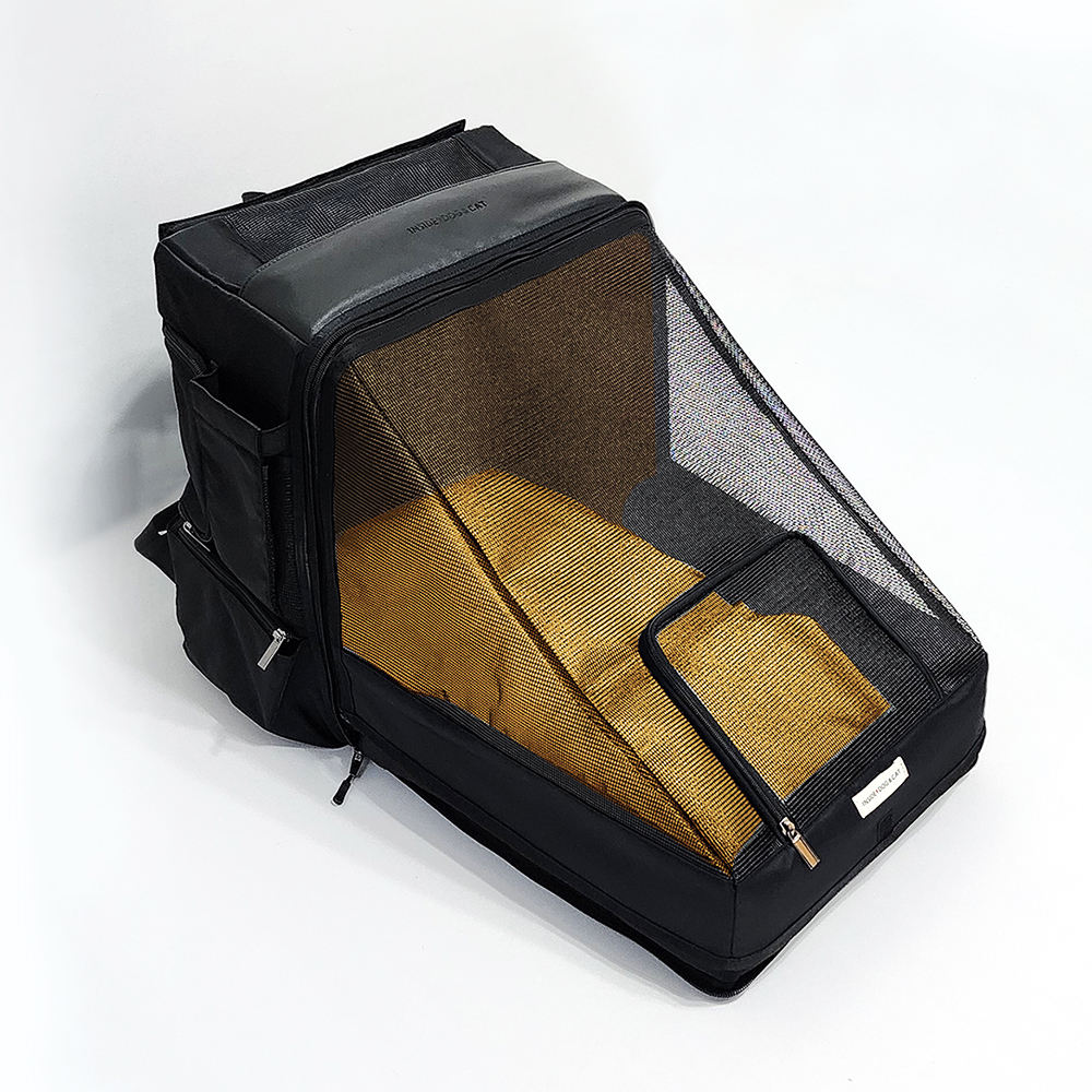 มัสตาร์ด