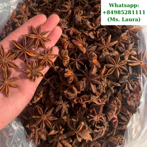 Vietnam Star Aniseed Premium Fresh 2025 Crop parfum fort, récolte d'automne et de printemps, exportation d'usine en gros - Product Image 3