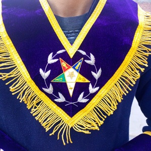 NOUVEAU REGALIA ASSOCIATE PATRON TABLIER BRODÉ À LA MAIN AVEC COL ET MANCHETTES-HSE - Product Image 3