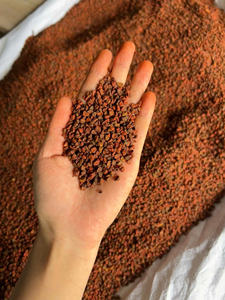 Graines d'annatto séchées du Vietnam, colorant rouge naturel, qualité supérieure, exportation - Product Image 5