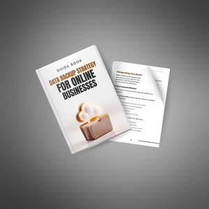 Stratégie de sauvegarde des données pour les entreprises en ligne avec solution de stockage en réseau Licence PLR Téléchargement numérique instantané - Product Image 4