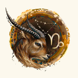 Capricorn Zodiac 100% Pure Essential Oil Blend Moisturising Nourishing Body Oil <b>Pine</b> Lemon Organic Herb Ingredients <b>Box</b> - Product Image 2