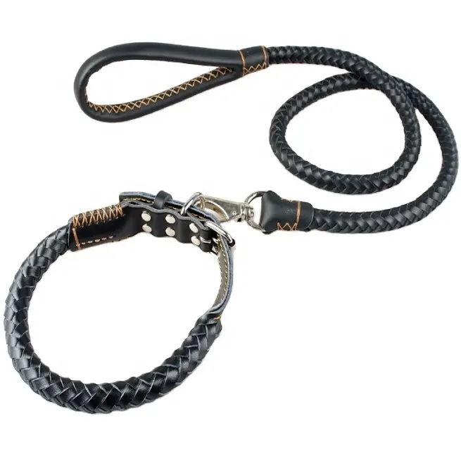 Collier de chien artisanal personnalisé, laisses/colliers de dressage pour chiens en cuir, couleur pet, accessoires pour animaux de compagnie, vente en gros