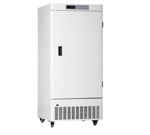 Congelador profundo vertical de alta capacidad de almacenamiento con estantes ajustables de diseño vertical 220V - Product Image 1