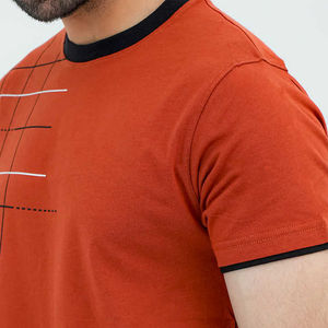 Collection 2025 du fabricant T-shirts imprimés coupe ample pour hommes 100% coton Couleurs populaires Design unique Toutes les tailles disponibles - Product Image 2