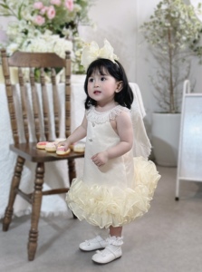 Bebé niñas de gran tamaño Vintage Delantal encaje decoración satén tela lavable OEM ODM Vietnam niños 12 años - Product Image 3