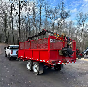 Remolque Forestal para Madera con Grúa Hidráulica para Carga de Troncos, Remolque para Transporte de Madera - Product Image 4