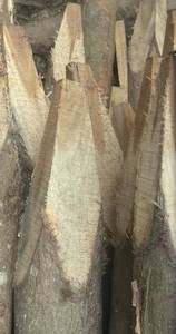 Piquet en bois massif, belle couleur - Product Image 4